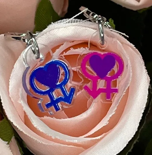 Bisexual Pride Flag Inspired Earrings