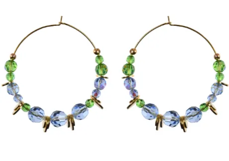 Disc Hoops
