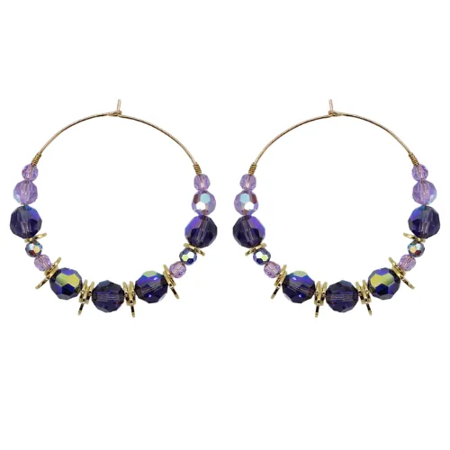Disc Hoops