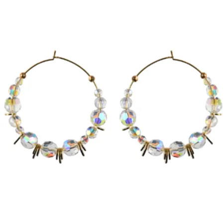 Disc Hoops