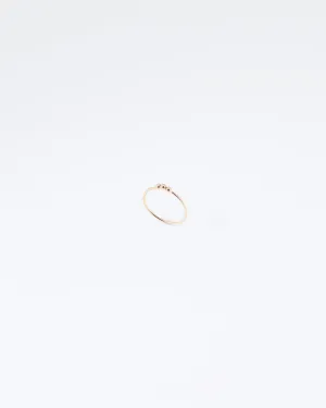 Infinite Dotted Ring